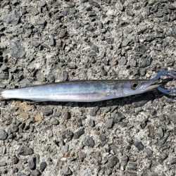 台風前の一文字に