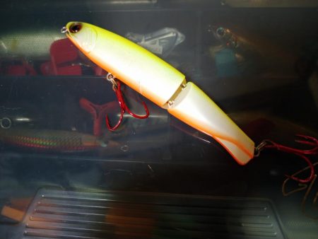 台風後のシーバス