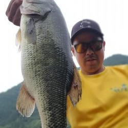 縦ストディープ