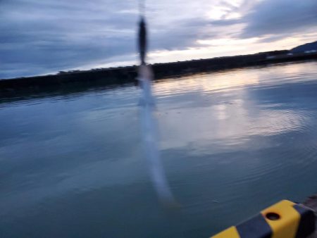 写真ぶれてすみません。