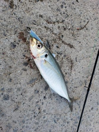 モニターのテスト