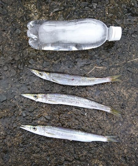 でっぷりウマズラ