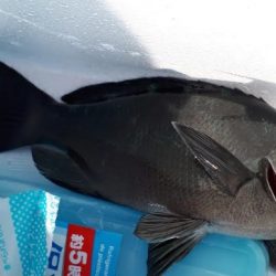 サビキでの投げ釣り！　但し、暑い！！　水分補給は必須ですね！