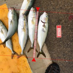 8月30日神戸空港ツバス祭り