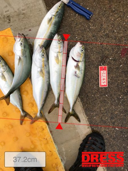 8月30日神戸空港ツバス祭り