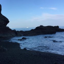 とりあえず高級魚１つ