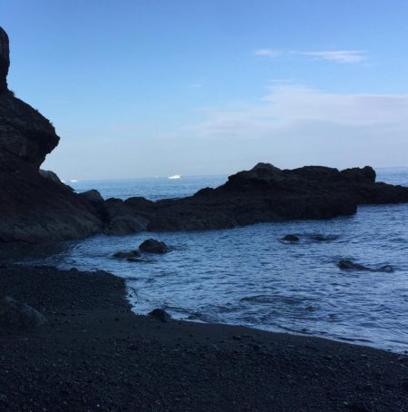 とりあえず高級魚１つ