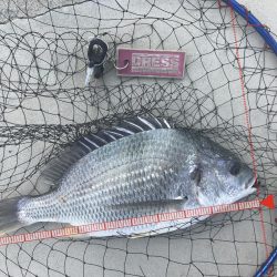 お盆休み最終日