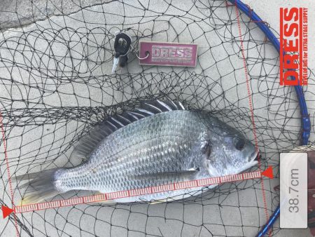 お盆休み最終日