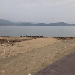 飲ませでマゴチゲット！