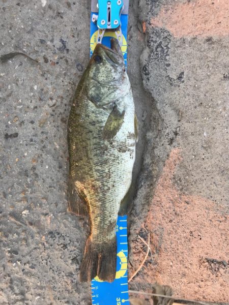 今日も同じところ