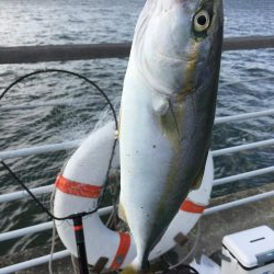 ひさびさのツバス