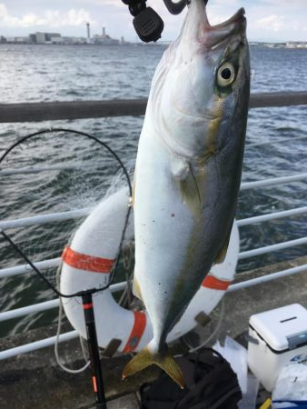 ひさびさのツバス