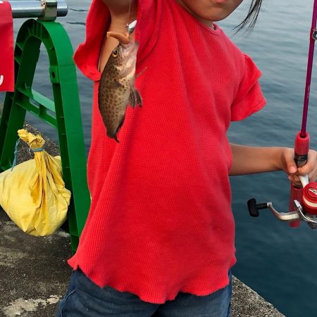 ファミリーフィッシング