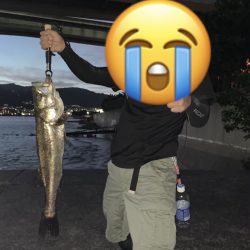 でかいシーバス！！！