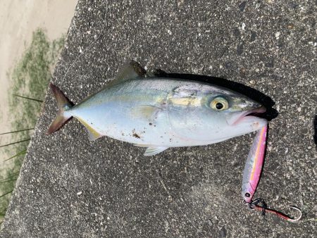 ショアジギング