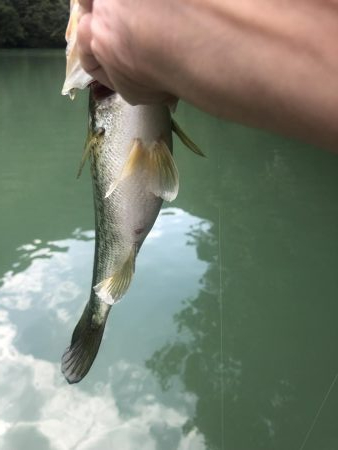 釣行2日目！サイズ伸びず