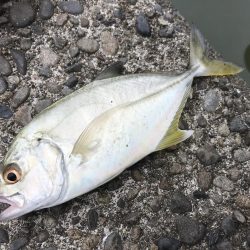 楽しいメッキ ！