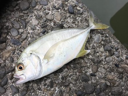 楽しいメッキ ！