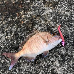 まさかの?!5種目