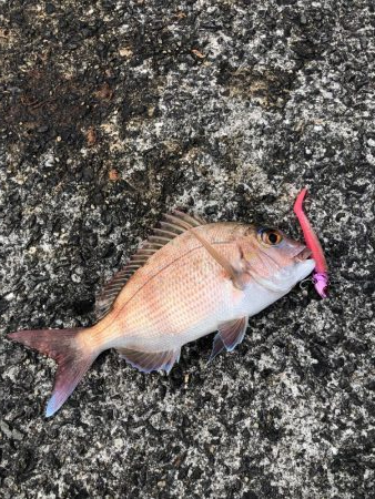 まさかの?!5種目