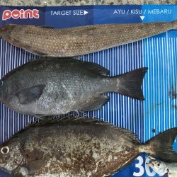 みんなが気になる筏釣り