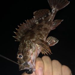 ナイスガッシー