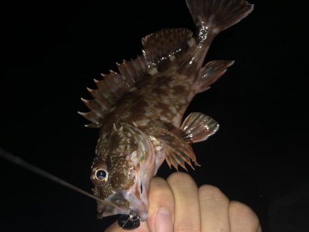 ナイスガッシー