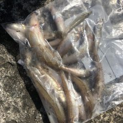 灼熱のキス釣り