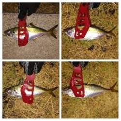 アジンガー1855〜1930 2105〜2140