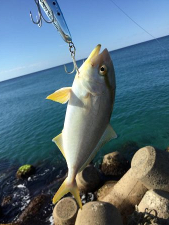 北条海岸ヒラメ釣り