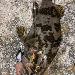 まさかのメッキ