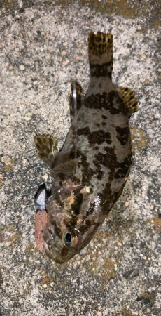 まさかのメッキ