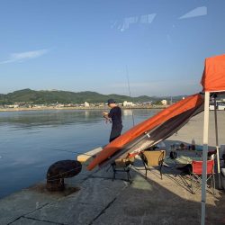 ちょい投げ釣行