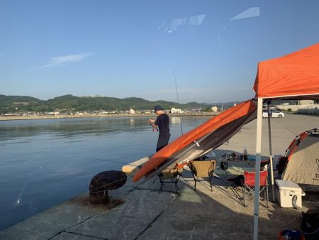 ちょい投げ釣行