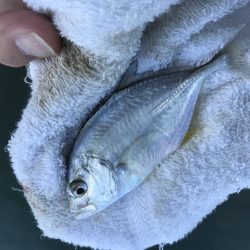 台風後メッキは!?