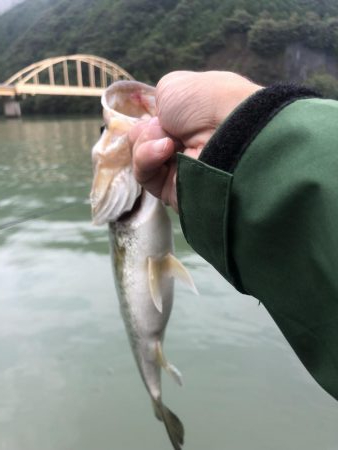 久しぶりのダム釣行