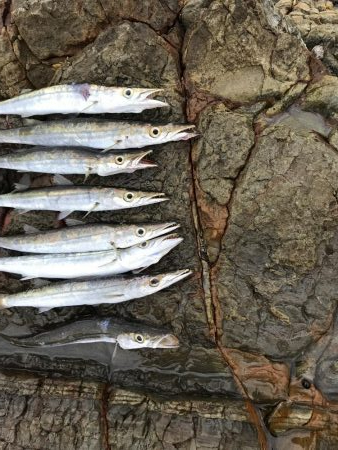 夏のロックショアキャスティング