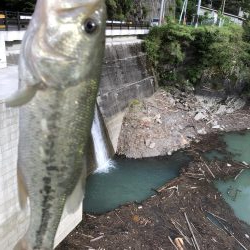 活性良くなったー