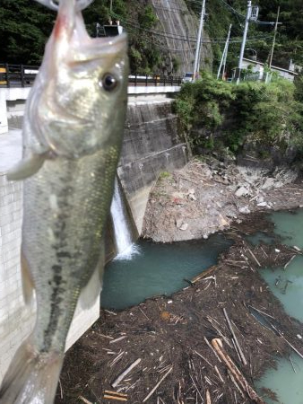 活性良くなったー