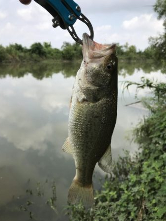 あたりは多いが…