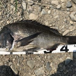 イチノ兄弟、釣果！