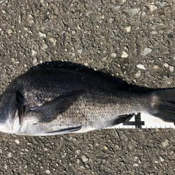 イチノ兄弟、釣果！