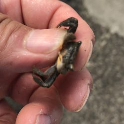 強制日光浴野郎