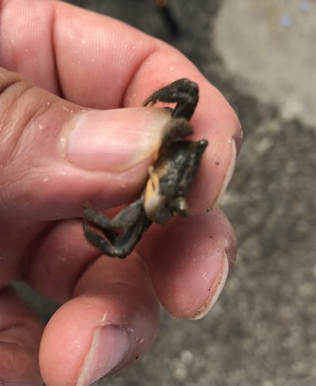 強制日光浴野郎