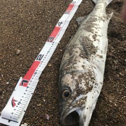 台風後の荒れサーフ