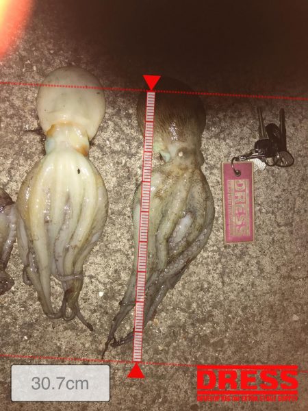 花火大会とタコ釣り