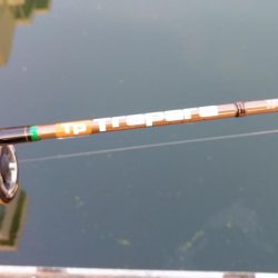 ジグスピナー２投目でヒット！