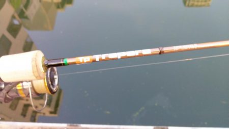 ジグスピナー２投目でヒット！