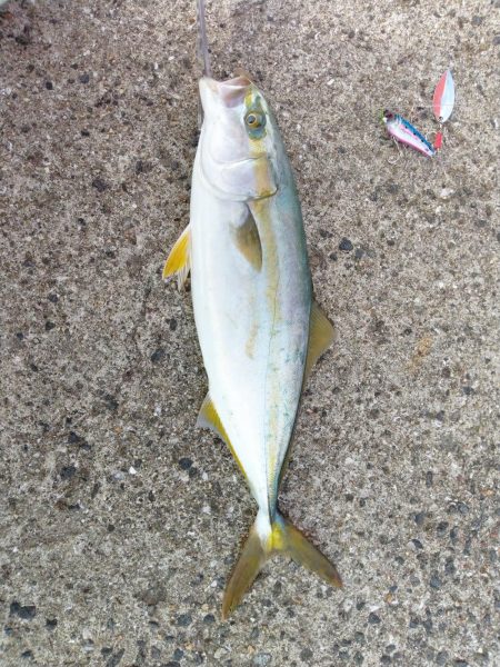 夕まずめの2ヒット